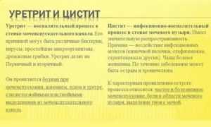 Цистит после секса у женщин симптомы и лечение. посткоитальный цистит.