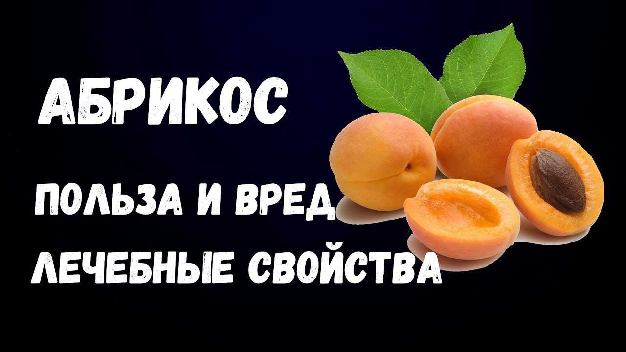 Варенье из абрикосов: польза, вред, рецепты | food and health