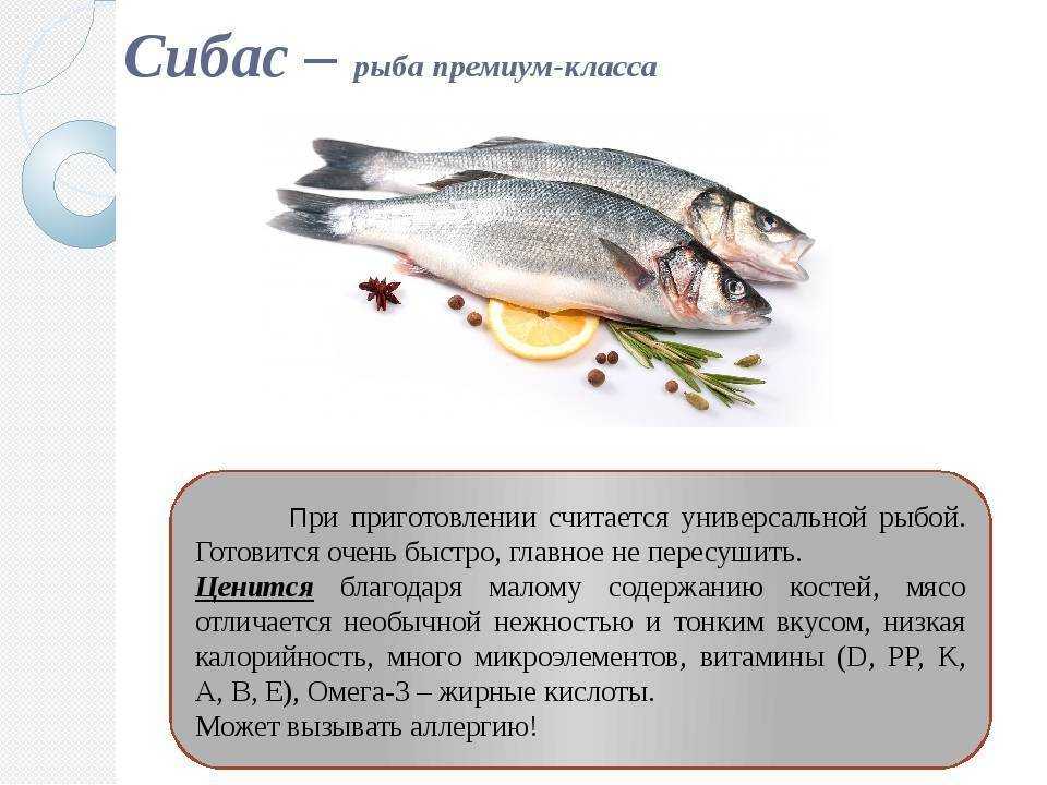 Рыба лимонелла полезные свойства