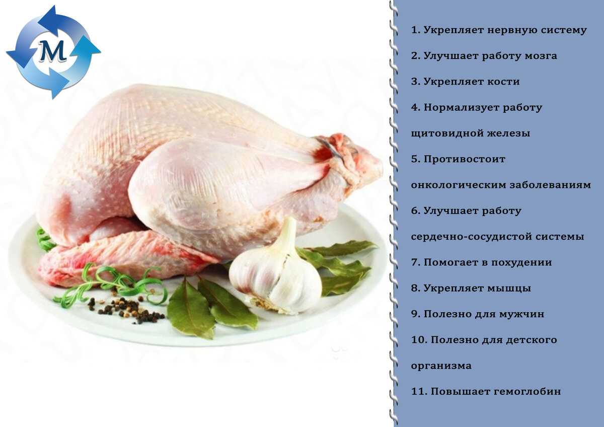 Индейка – польза и вред, состав и калорийность