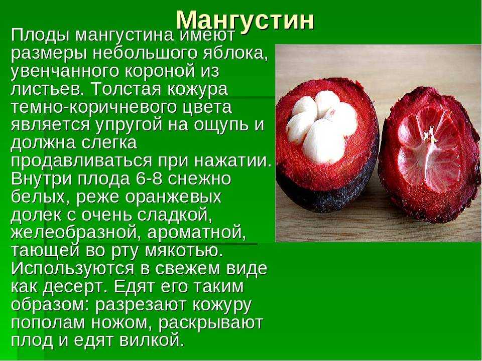 Всё про фрукт мангостин: что это такое и как есть, польза и вред