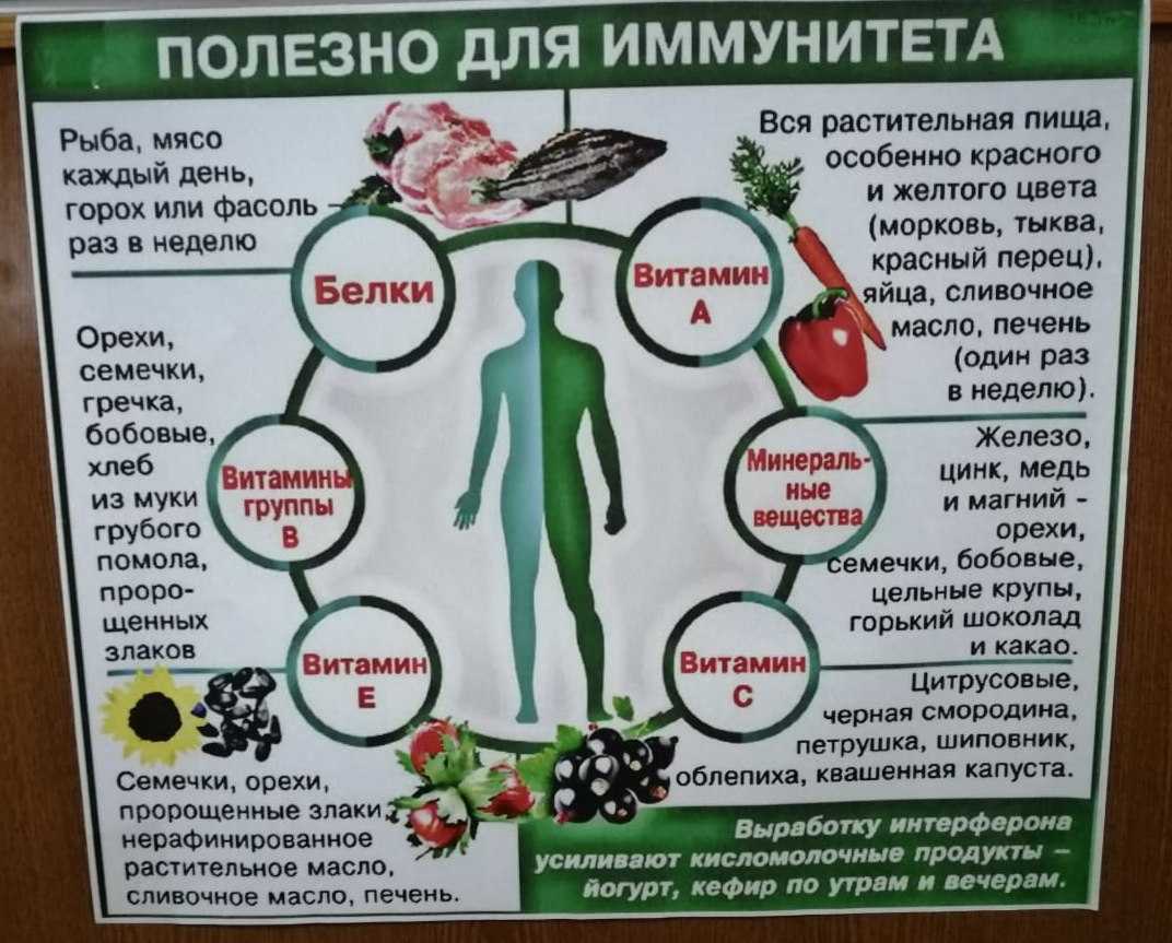 Иммунология