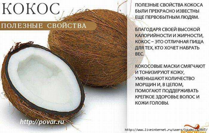 Калорийность кокос мякоть. химический состав и пищевая ценность.