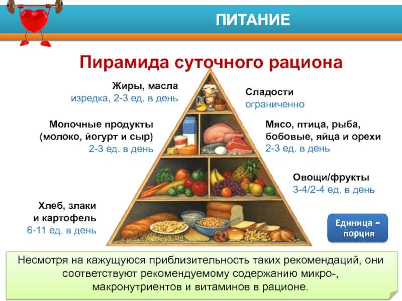 Рацион питания человека, пищевая пирамида питания