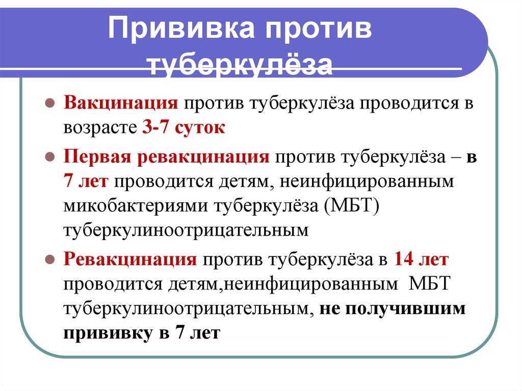 Вакцинация туберкулеза схема