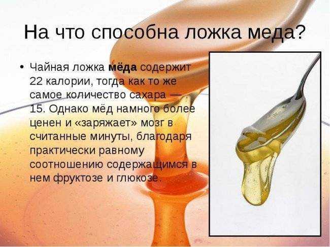 Сколько грамм меда в чайной ложке: жидкого, густого, засахаренного, без горки, таблица