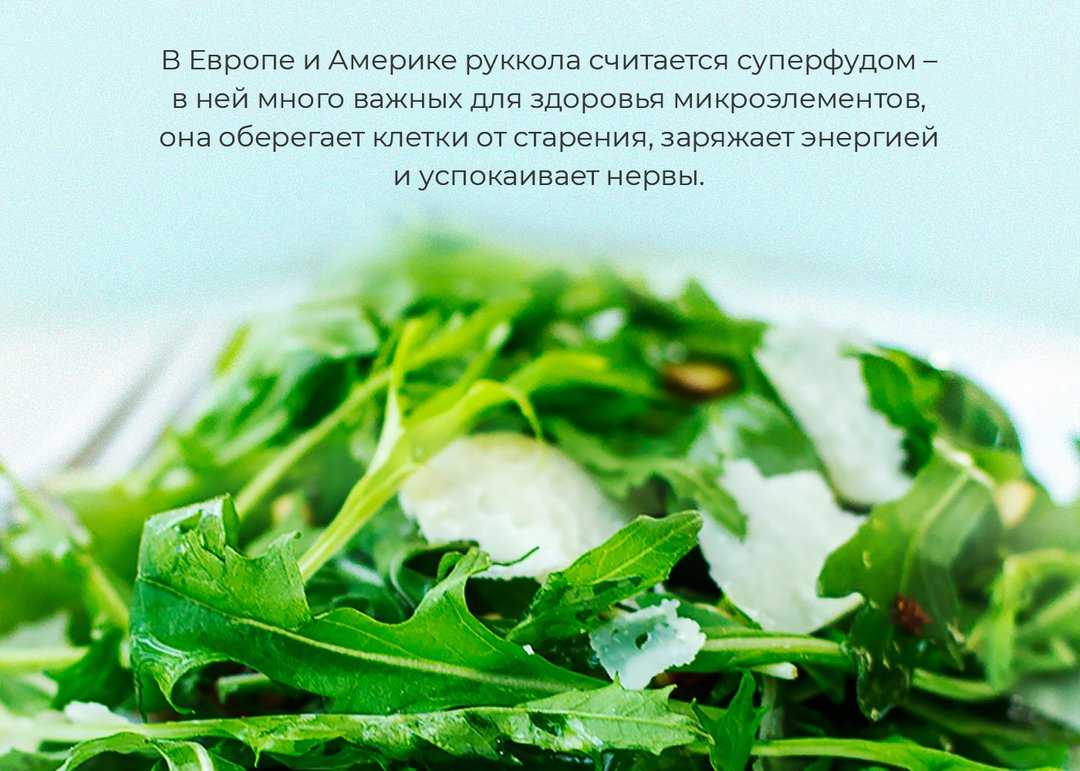Чем полезна руккола: свойства,организма,мужчин, женщин,вред, состав, польза, как есть, рецепты