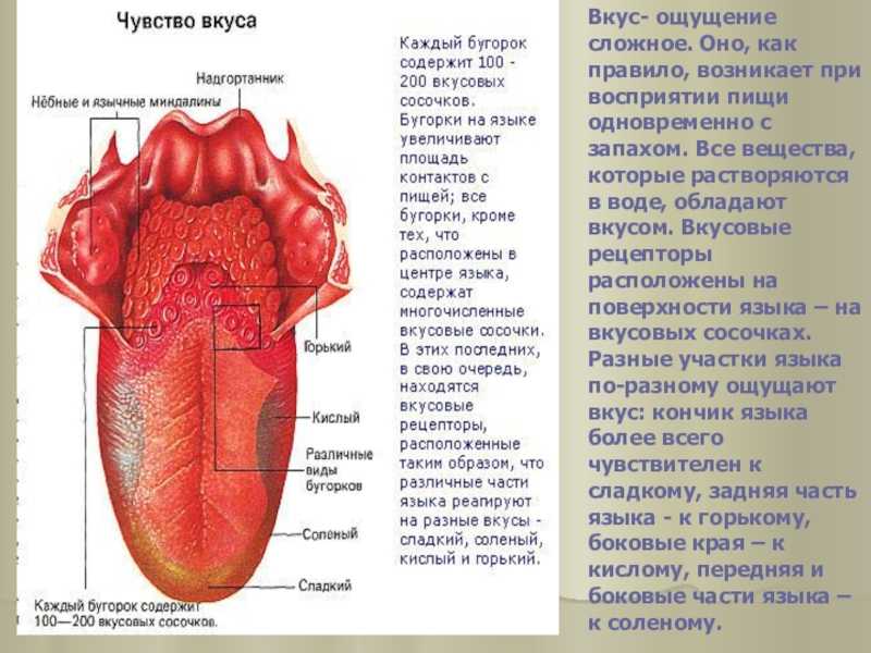 Способ приготовления яблочного уксуса. «мёд и другие естественные продукты» | джарвис деффрест клинтон