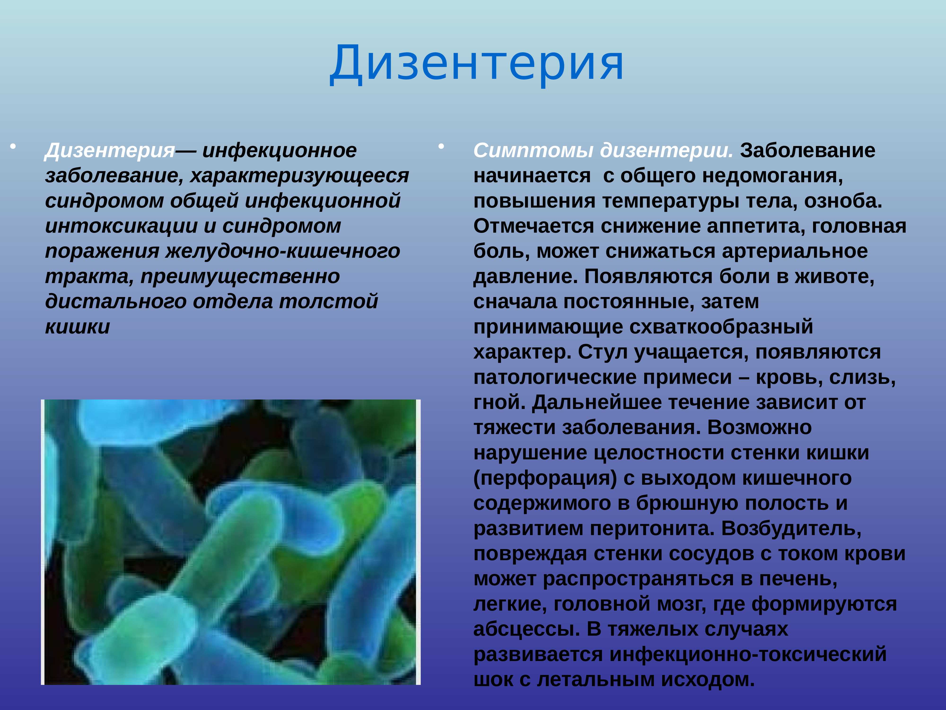 Дизентерия вызывается бактериями