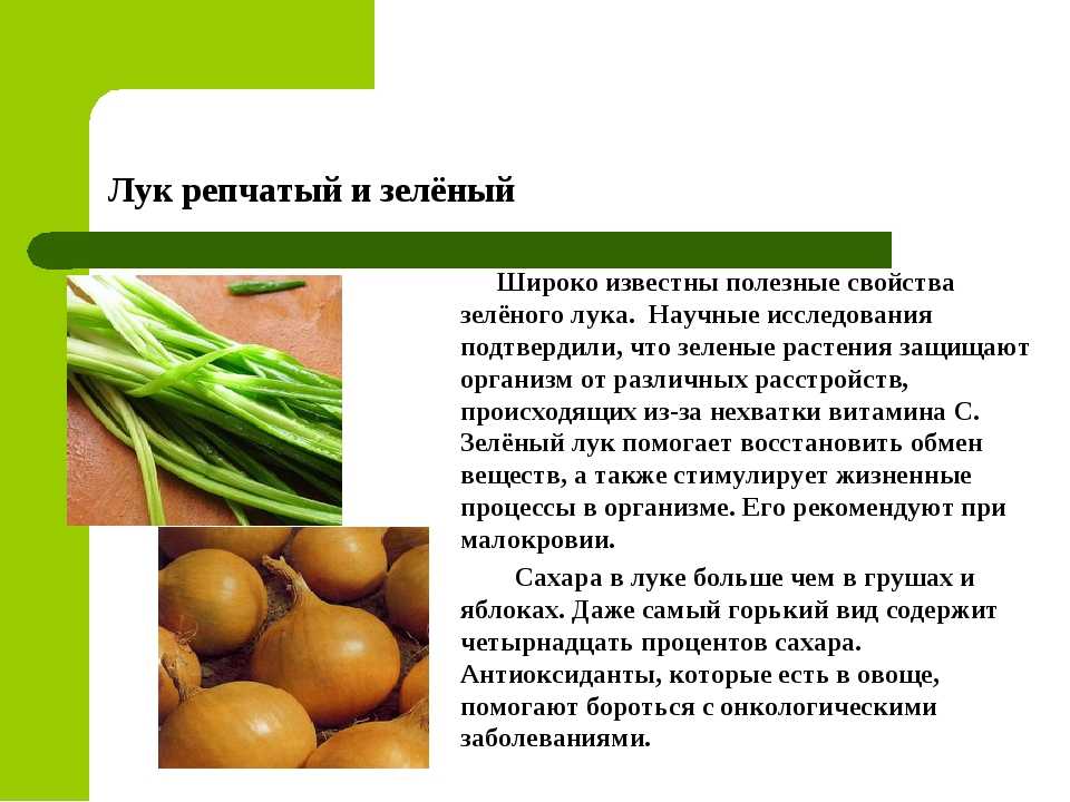 Калорийность репчатого лука в сыром виде на 100 грамм продукта agrovoz.su