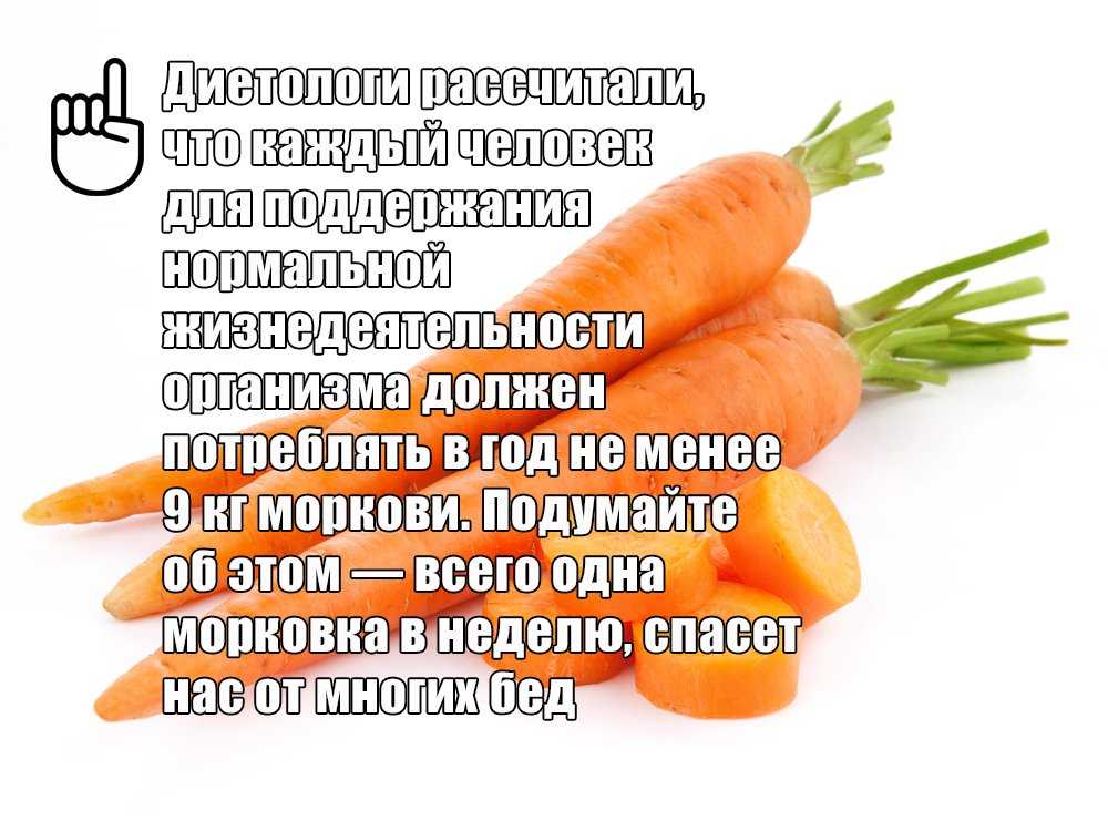Морковь: состав, калорийность, норма в день. польза и вред