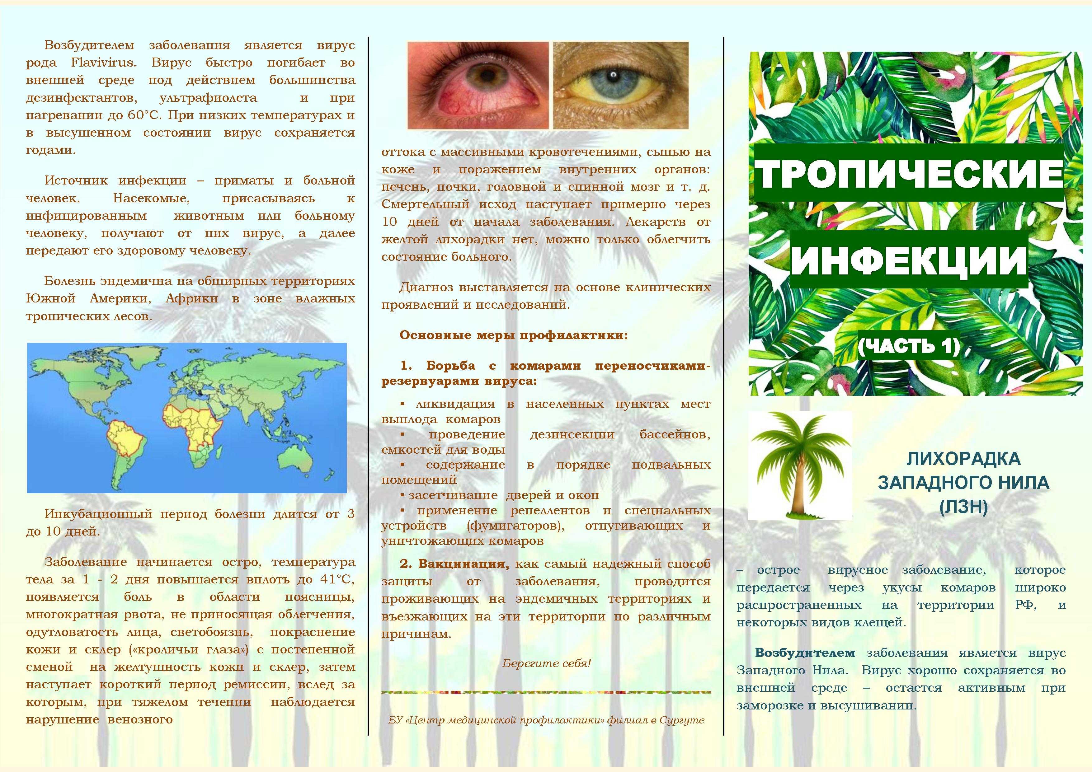 Умеренный климатический пояс. характер климата. географическое положение