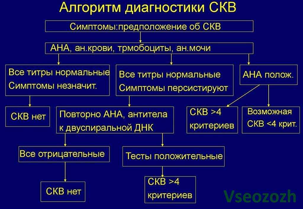 Красный признак. Алгоритм диагностики системной красной волчанки. Диагностика при системной красной волчанки. Система красная волчанка клинические рекомендации. Лабораторная диагностика при системной красной волчанке.