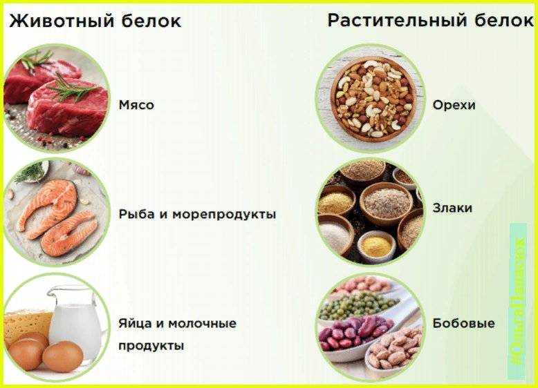 Бобовые продукты: список, содержание белка, польза и вред