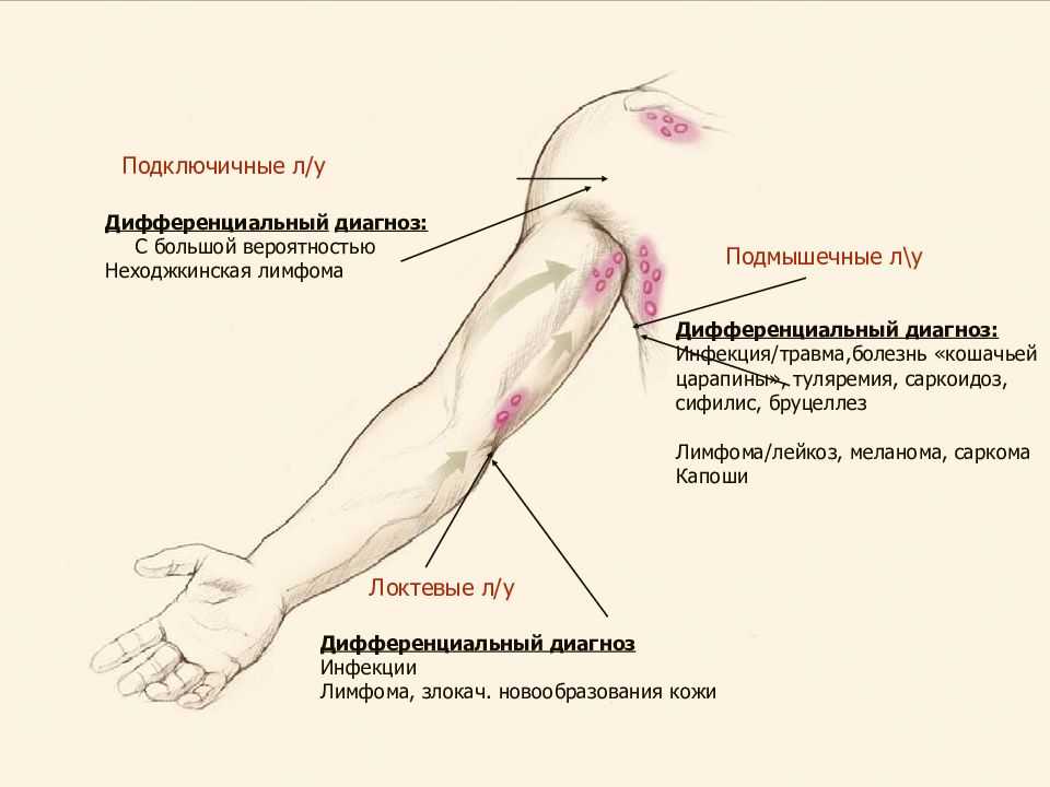 Клиника с нуля