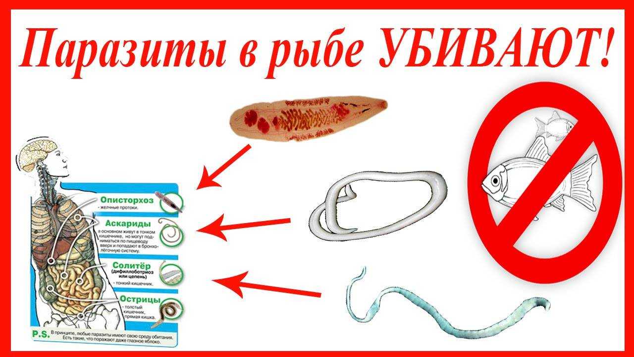 Польза отдыха на море для детского организма, летний отпуск