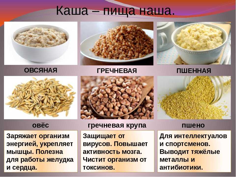 Крупа саго - что такое. различные рецепты. - "russian connection". русская сеть. - 5 ноября - 43431521934 - медиаплатформа миртесен