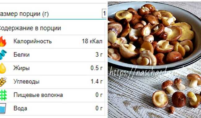 Маслята – грибы со слизистой шляпкой, растущие в хвойных лесах Калорийность маслят составляет 9-19,2 ккал на 100 г грибов