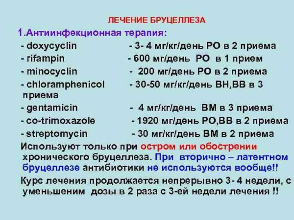 Бруцеллез что это за болезнь. Бруцеллез лечение. Бруцеллез антибиотики. Бруцеллез лечение антибиотиками. Специфическая терапия бруцеллеза.