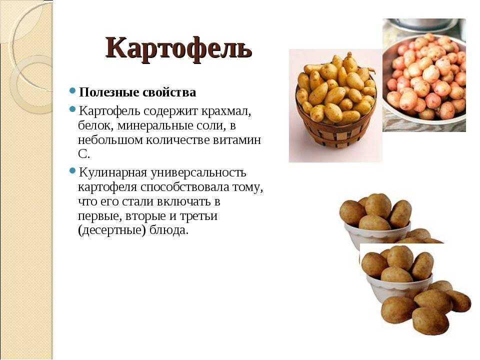 Польза картофеля сырого, вареного, жареного и печеного, состав и возможный вред - red fox day