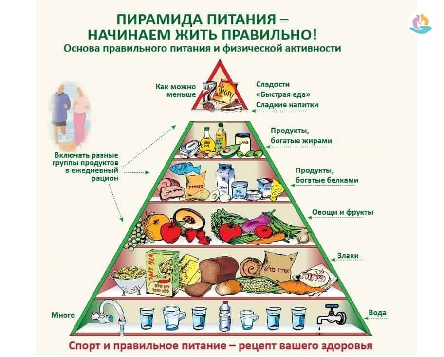Рациональное питание – понятие и принципы
