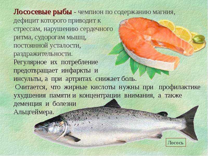 Семейство лососевых рыб, дикий лосось, виды, нерест лососевых рыб