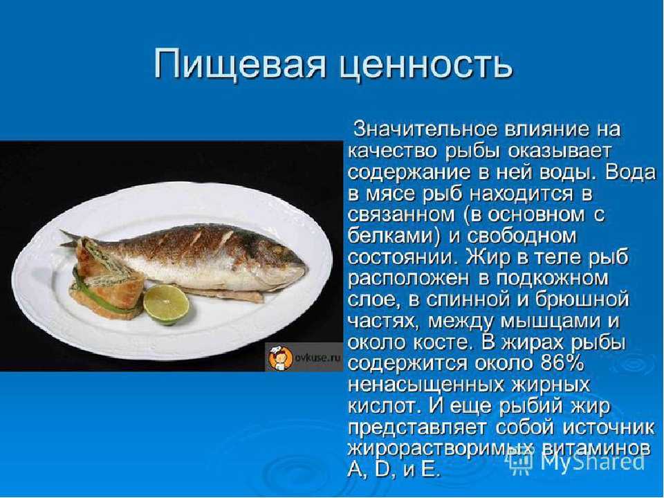 Жареный карась. калорийность и польза рыбы после обработки