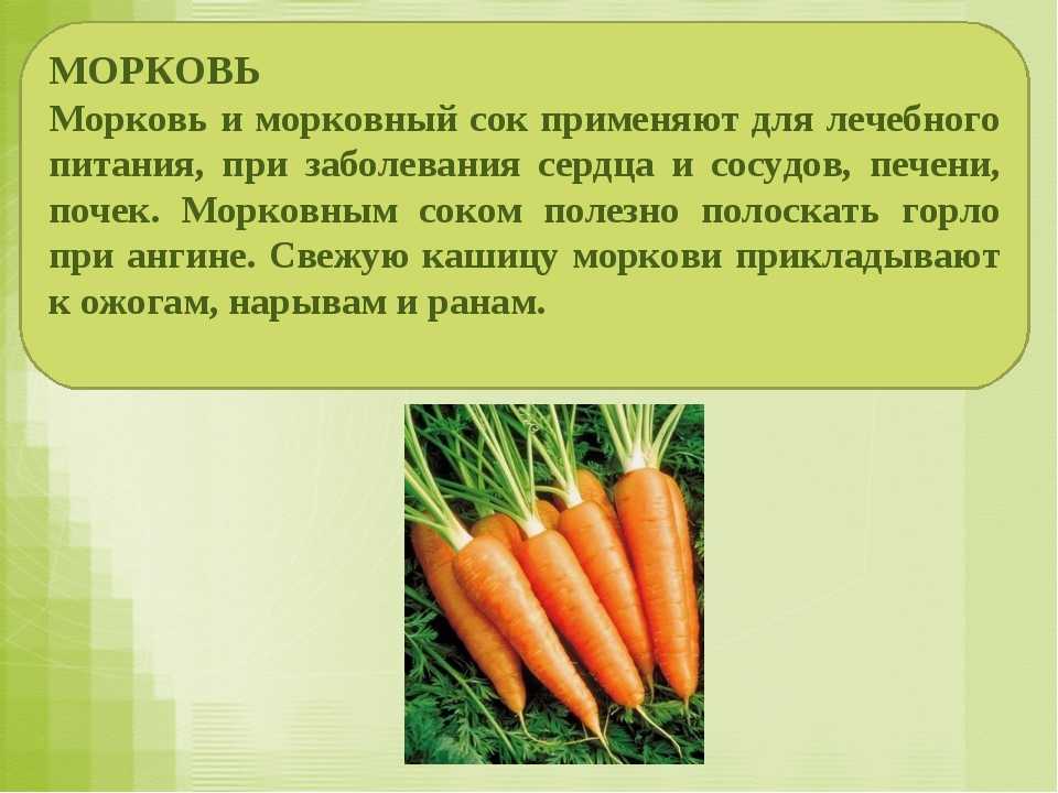 Какие витамины прячет морковь и сколько калорий содержит?