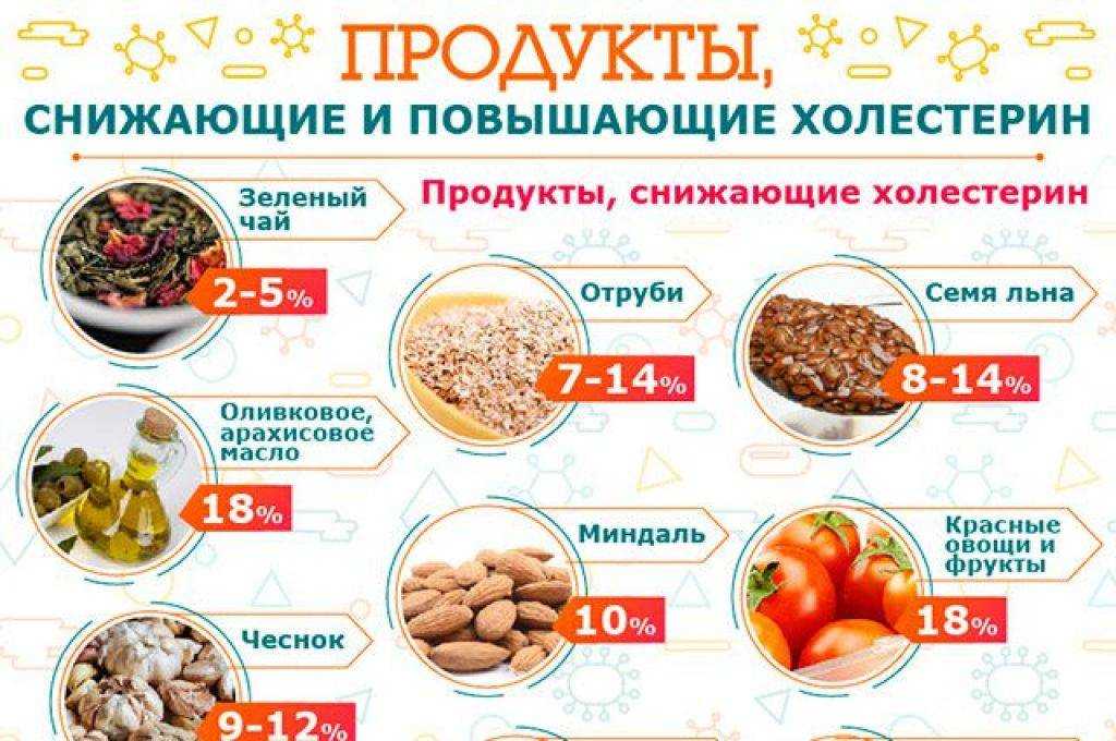 Холестерин: нормальный, низкий и высокий — нормы для взрослых и детей