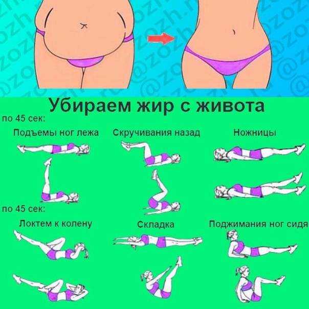 Как работают самые популярные диеты - fitlabs / ирина брехт