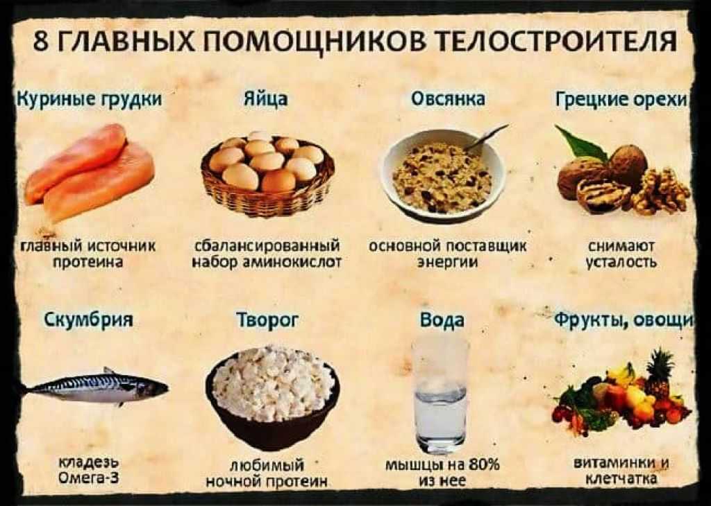 Питание для эктоморфа: правильный рацион для набора мышечной массы