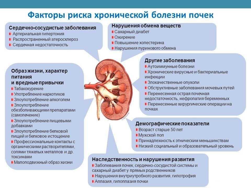 Схема лечения почек