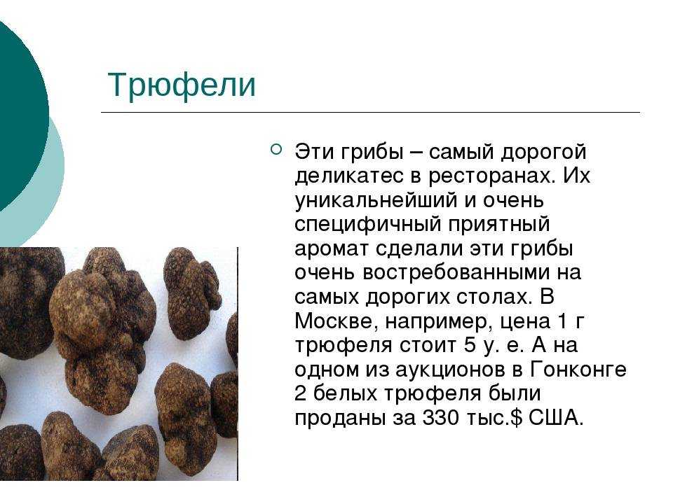 Можно ли при диете грибной суп. калорийность грибного супа удовлетворит все ограничения строгой диеты