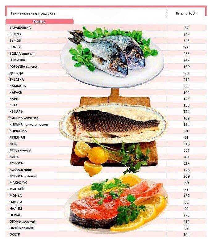 Рыба хек (мерлуза) польза и вред, свойства для организма