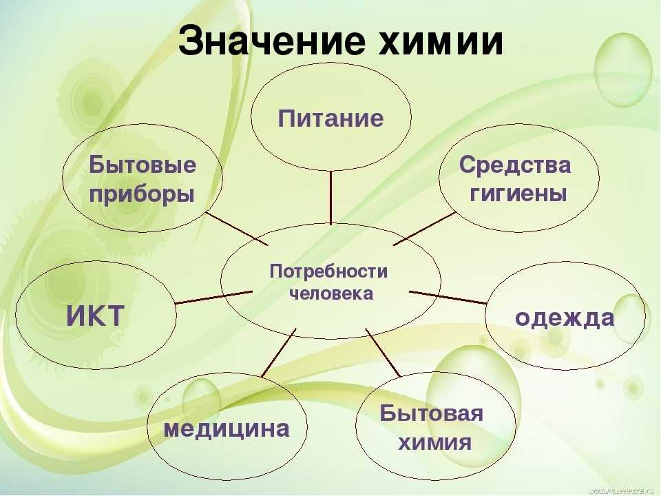 Презентация о человеке пример