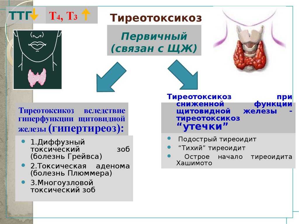 Диета при гипотиреозе