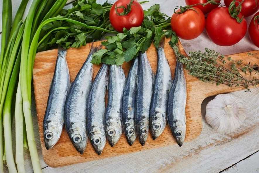 🚩 рыба салака: описание вида, польза, как выбрать и приготовить