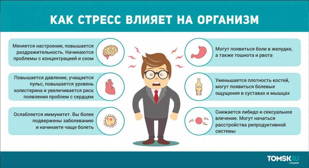 Как работают самые популярные диеты