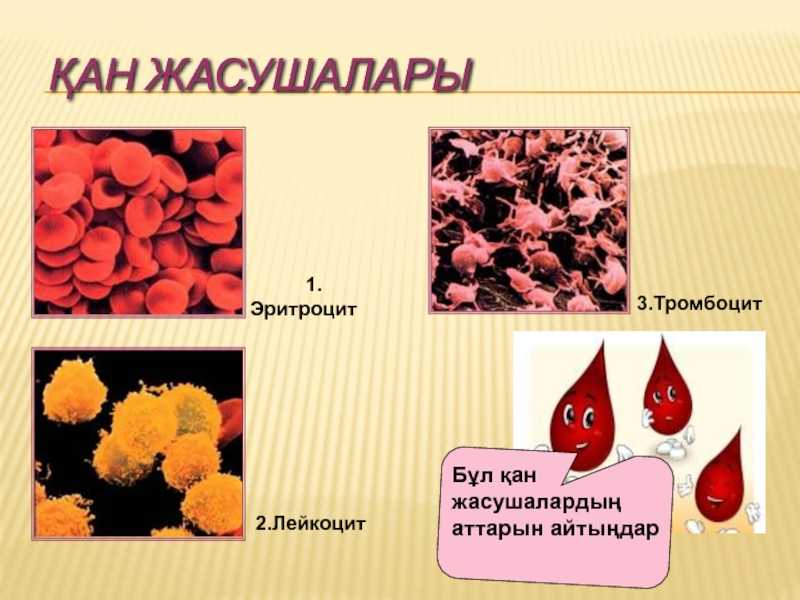 Признаки внутреннего кровотечения: симптомы состояния и лечение