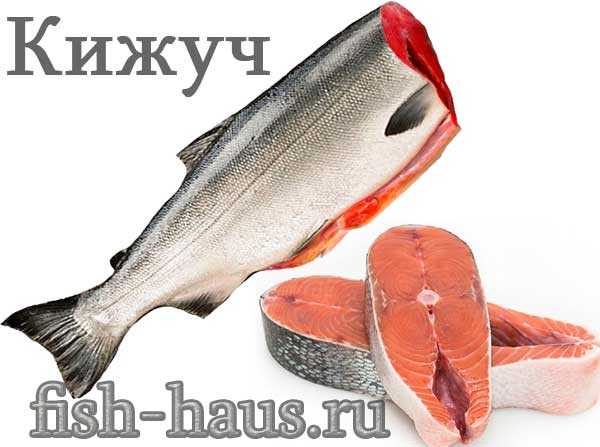 Кижуч: бжу (содержание белков, жиров, углеводов), калорийность, питательная ценность и польза