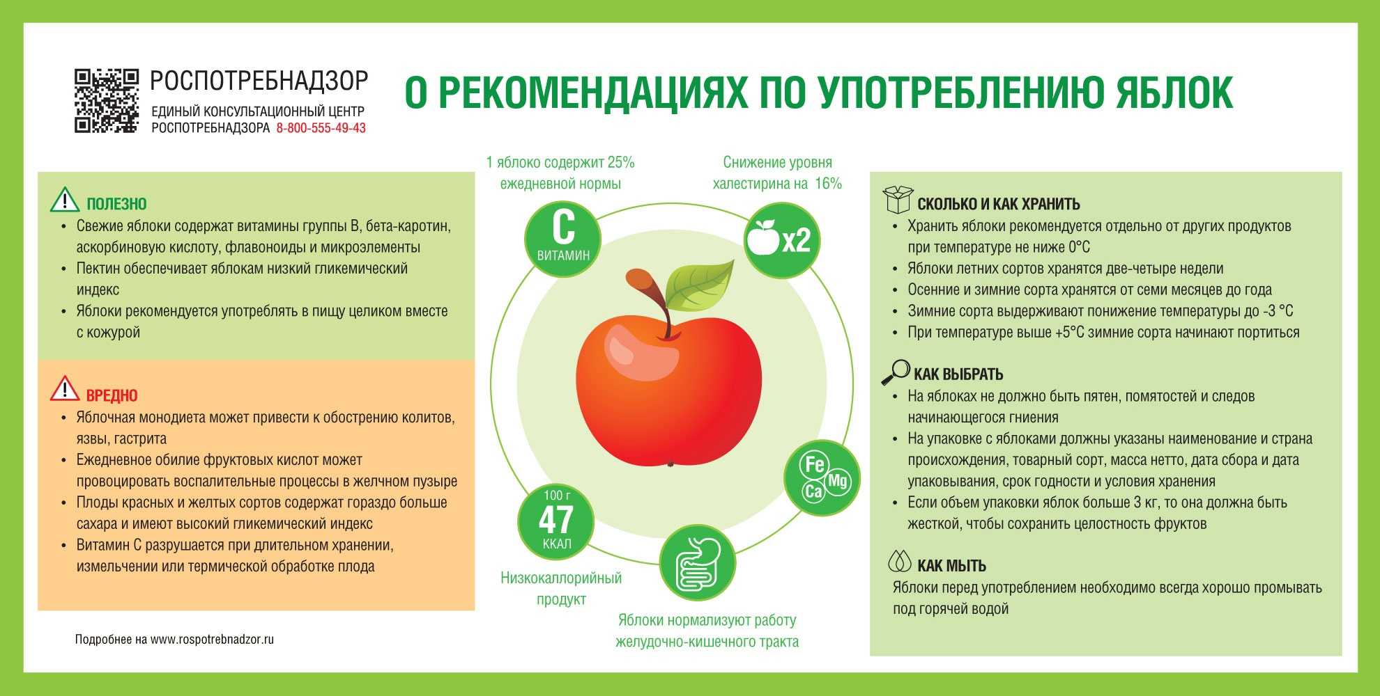 Яблоко: сорта, польза и калорийность | food and health