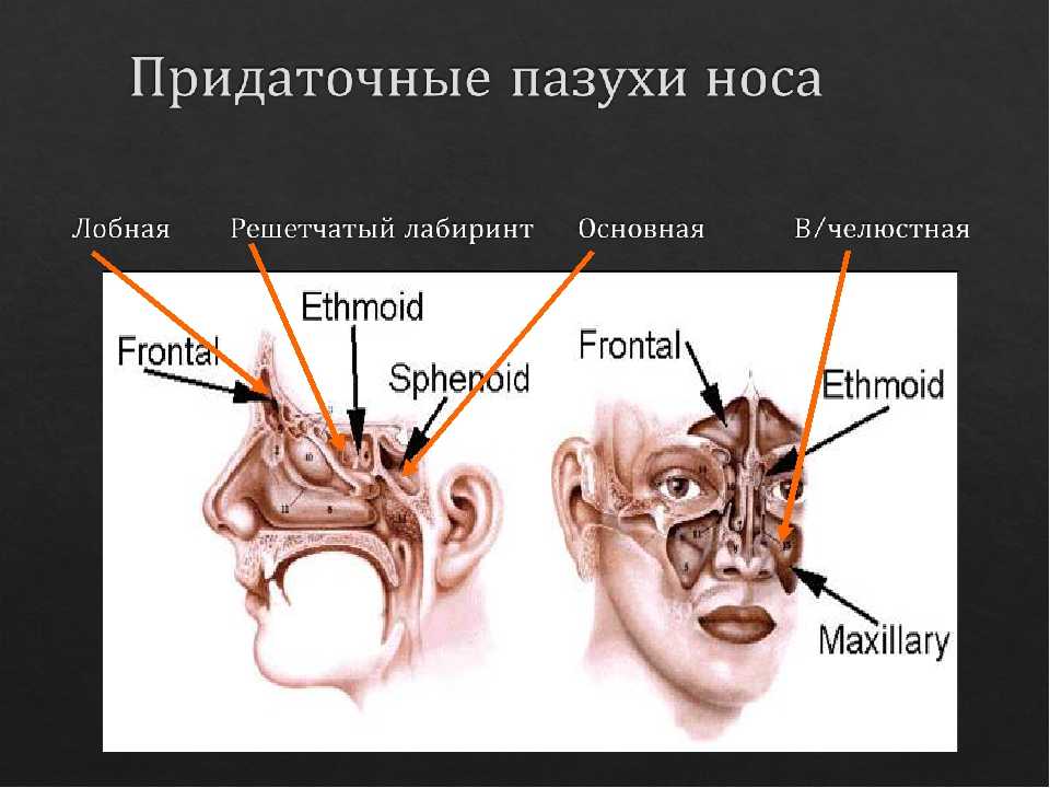 Острый риносинусит » библиотека врача