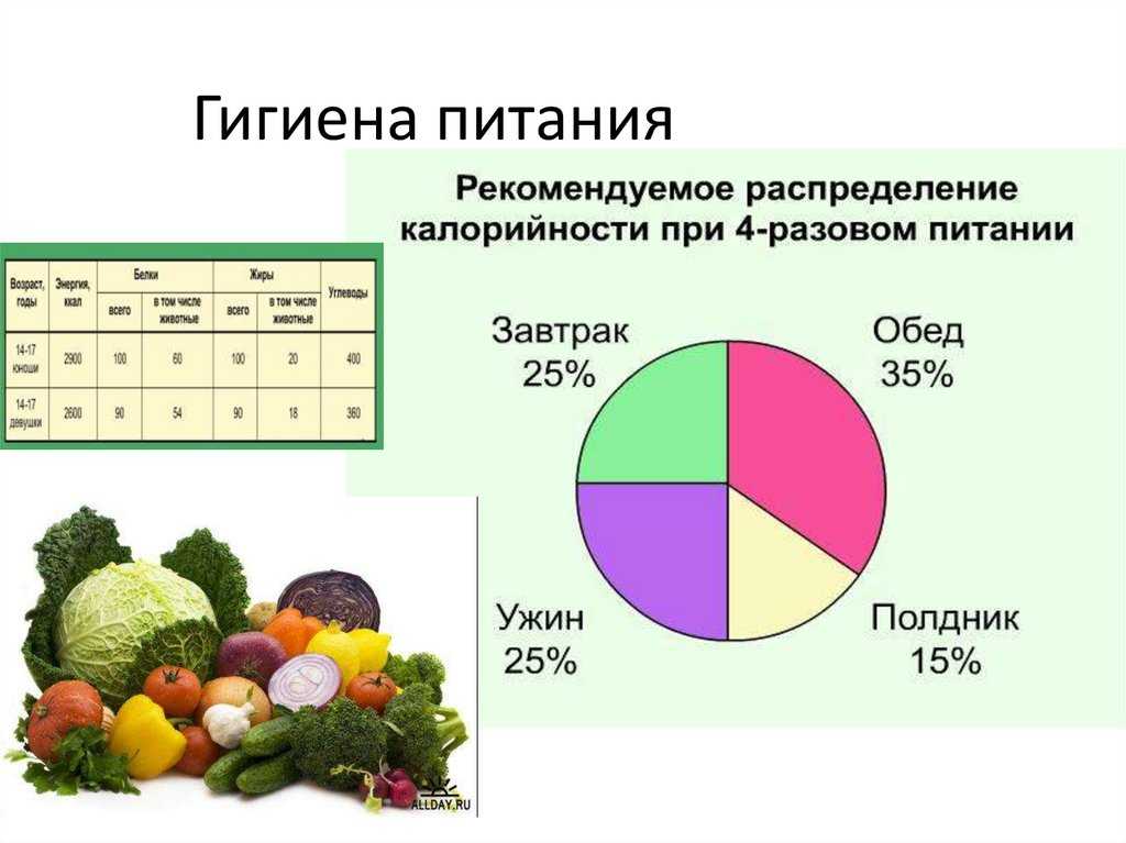 Углеводы гигиена питания презентация