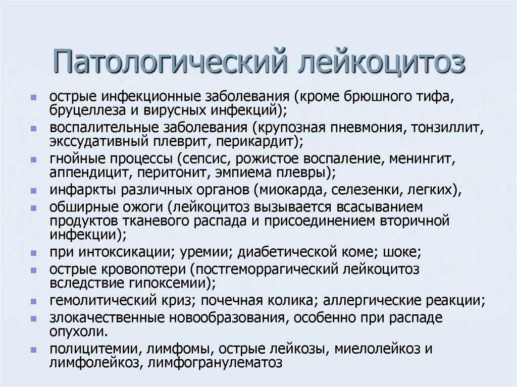 Анализ крови: что означают повышенные лейкоциты в крови | столетник