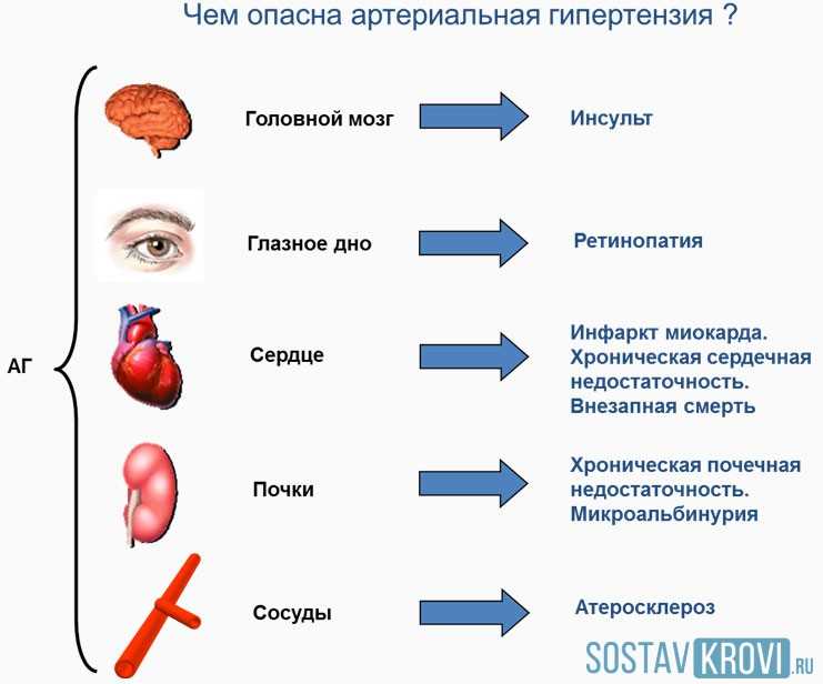 Немедикаментозные методы лечения артериальной гипертензии являются важнейшим составляющим комплексной терапии, позволяющие воздействовать на негативные факторы риска, способствующие повышению АД