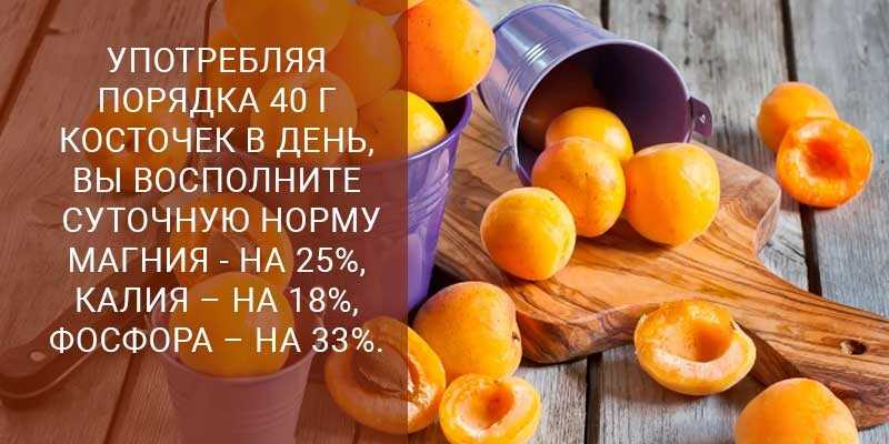 Абрикос