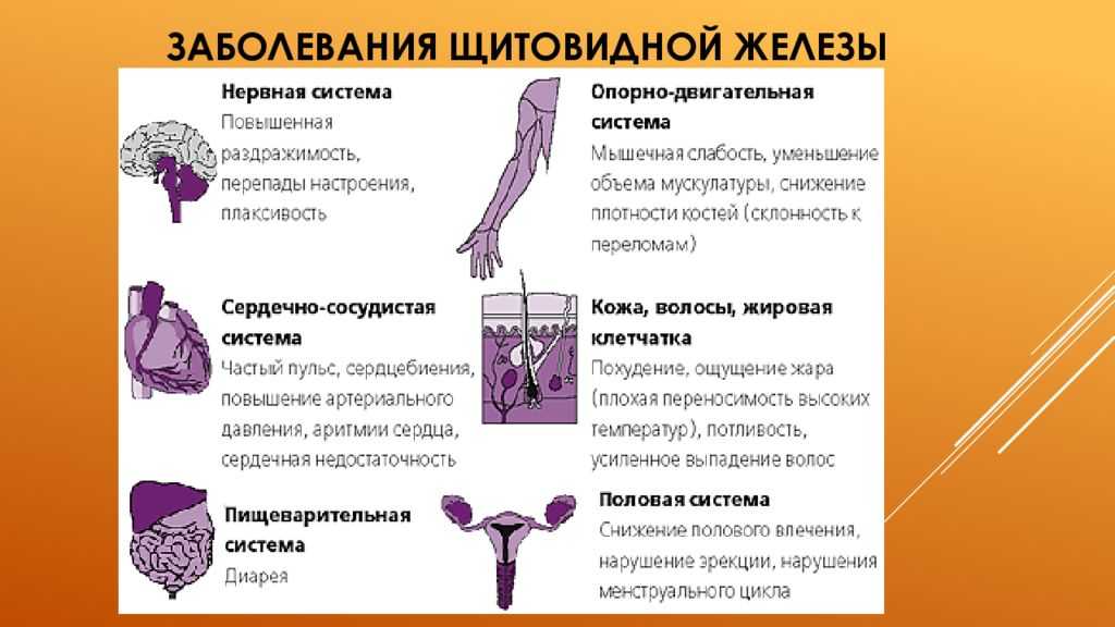 Организм не может функционировать. Заболевания щитовидной железы. Патология щитовидной железы. Заболевания связанные с щитовидкой. Болезни при нарушении функции щитовидной железы.