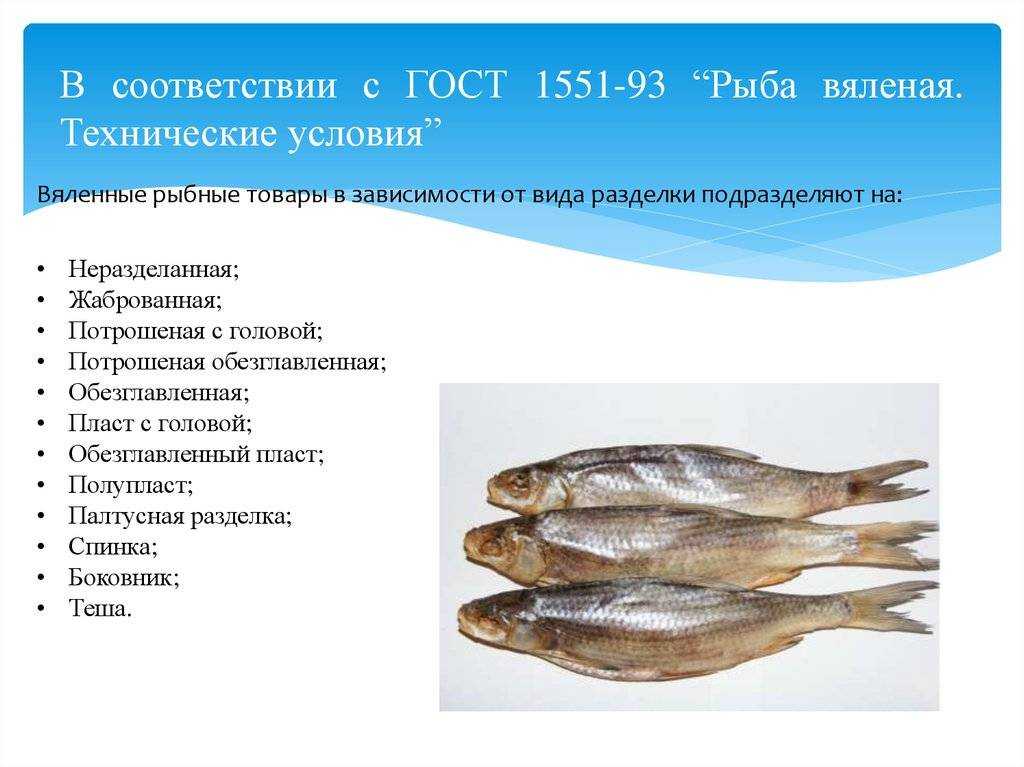 Ставрида черноморская: что за рыба