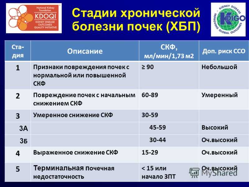 Пиелонефрит: причины, симптомы, методы диагностики и лечения. диагностика и лечение хронического пиелонефрита