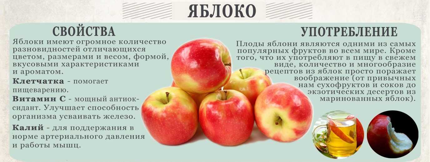 Яблоки — химический состав, пищевая ценность, бжу